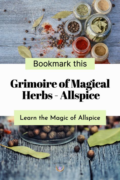 Allspice Magical Properties, Ritual Magic, Crystal Room, Physical Healing, Magical Herbs, Love Oil, Candle Magic, Magical World, Healing Energy