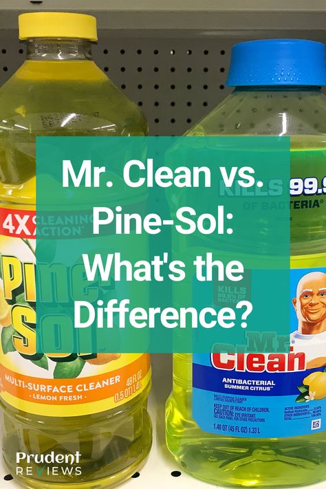 Mr. Clean vs. Pine-Sol: What’s the Difference? Pine Sol Uses, Pine Sol Hacks, Pine Sol Cleaning, Cleaning Concrete Floors, Clean Classroom, Pine Sol, Clean Concrete, Mr Clean, Best Cleaning Products