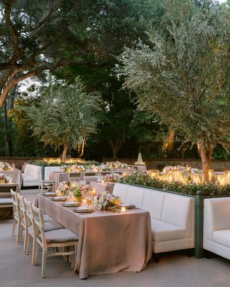 Laurie Arons Special Events on Instagram: “Loved our last event of 2021. Kathleen Deery’s team made custom banquettes to go around custom olive trees that were brought in to the…” Romantic Wedding Table Settings, Romantic Wedding Table, Outdoor Wedding Reception Decorations, Candle Lit Wedding, Olive Wedding, Christmas Dining Table, Wedding Reception Inspiration, Outdoor Wedding Reception, Olive Trees