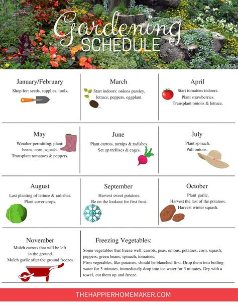 Free printable Garden Schedule to help you plan your gardening tasks throughout the year. #gardening Plan Your Garden Layout, Family Vegetable Garden, Zone 7 Garden Plan, Covered Patio Garden Ideas, First Garden Ideas, First Time Vegetable Garden, Chicago Garden Ideas, Plant Spacing Guide Vegetable Garden, First Time Garden Tips