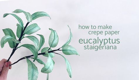 Paper Flower Tutorials | Ta Muchly Paper Blooms Eucalyptus Template, Paper Flower Display, Paper Eucalyptus, Crepe Flowers, Diy Paper Flowers, How To Make Crepe, Leaf Template, Paper Leaves, Wire Flowers