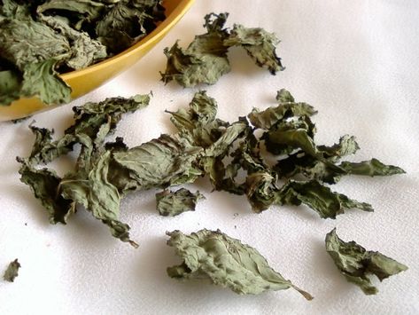 dried mint Drying Mint Leaves, Lotus Plant, Herbal Elixir, Help Digestion, Peppermint Leaves, Mint Leaves, Sun Dried, Lavender Flowers, Usda Organic