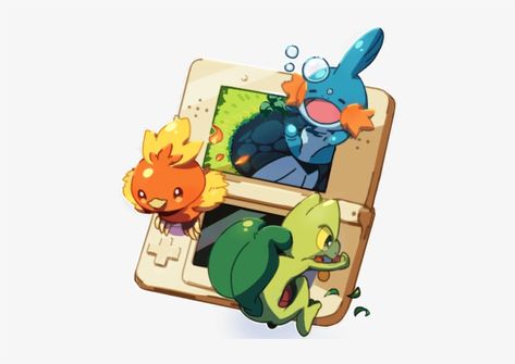 Hoenn Starters Art, Pokemon Hoenn Starters, Hoenn Starters, Sapphire Pokemon, Hoenn Region, Pokemon W, Lucario Pokemon, Pokemon Starters, Pokemon Pocket