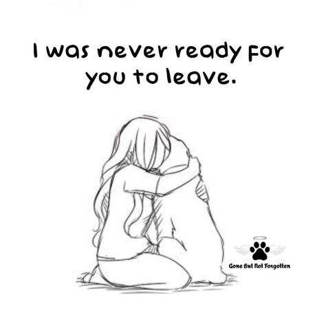 I Lost My Dog Again, I Miss You Dog, My Dog Died Today, Doggy Heaven Quotes Miss You Dogs, Missing My Dog Pet Loss, Missing My Dog Quotes, Miss My Dog Pet Loss, Quotes For Losing A Dog, Losing Dog Quotes