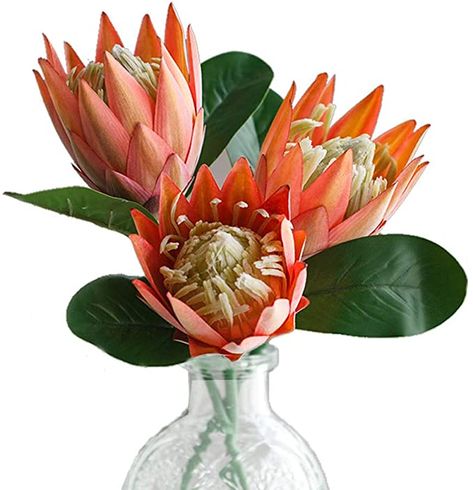 Amazon.com: Artificial Flowers Fake Silk Protea Cynaroides Plastic Flower Arrangements Decor Bouquet for Wedding Table Centerpieces 3pcs (Pink Orange): Home & Kitchen Small Tropical Wedding, Flower Arrangements Decor, Tropical Wedding Centerpieces, Bouquet For Wedding, Centerpiece Craft, Anthurium Flower, Ginger Flower, Orange Plant, Protea Flower