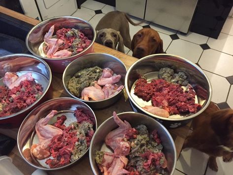 Raw feeding can be as easy or as complicated as you wish to make it. Sure for many of us getting stuck into a carcass and hacking away all for the benefit of our dogs is both great fun and very sat… Beef Heart Recipe, Dog Raw Diet, Raw Feeding For Dogs, Dog Food Delivery, Raw Dog Food Diet, Recipes Using Bananas, Raw Dog Food, Diy Dog Food, Broiled Chicken