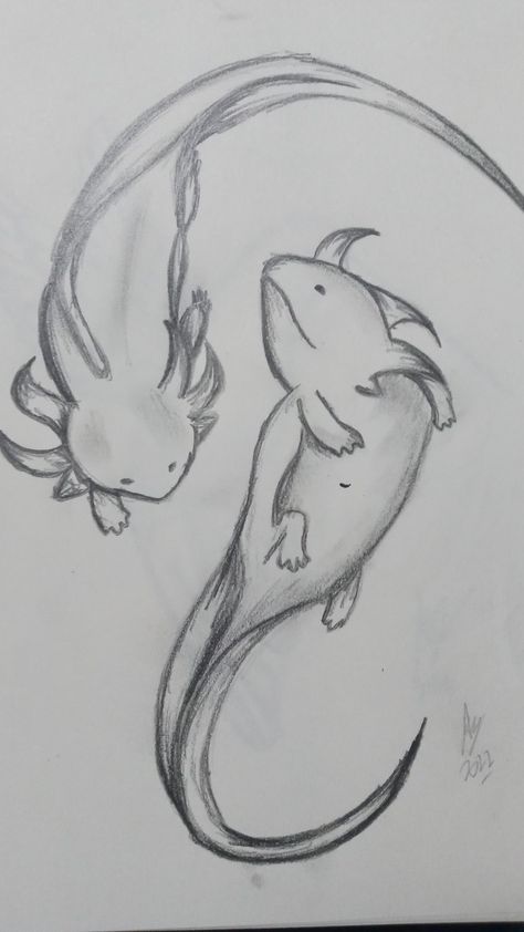 Axolotl Drawing Realistic, Axolotl Sketch, Axolotl Drawings, Axolotl Drawing, Dolphin Drawing, Cute Animal Drawings Kawaii, Cute Doodles Drawings, Nature Drawing, Drawing Artist