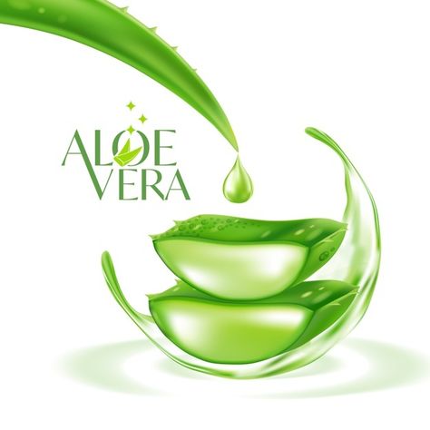 Aloe vera realistic plant skincare cosme... | Premium Vector #Freepik #vector #illustrations #aloe-vera #skin-care #realistic Aloe Vera Gel Packaging Design, Aloe Vera Logo Design, Alovera For Skin, Aloe Vera Illustration, Plant Skincare, Aloe Vera Image, Skin Care Design, Bun For Short Hair, Aloe Vera Serum