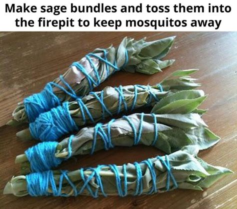 30+ of the BEST Camping Ideas, Gear, Tips & Tricks! - Kitchen Fun With My 3 Sons Sage Bundles, Have Inspiration, Camping Fun, Camping Ideas, Camping Survival, Backyard Fun, Firepit, Camping Accessories, Camping Life