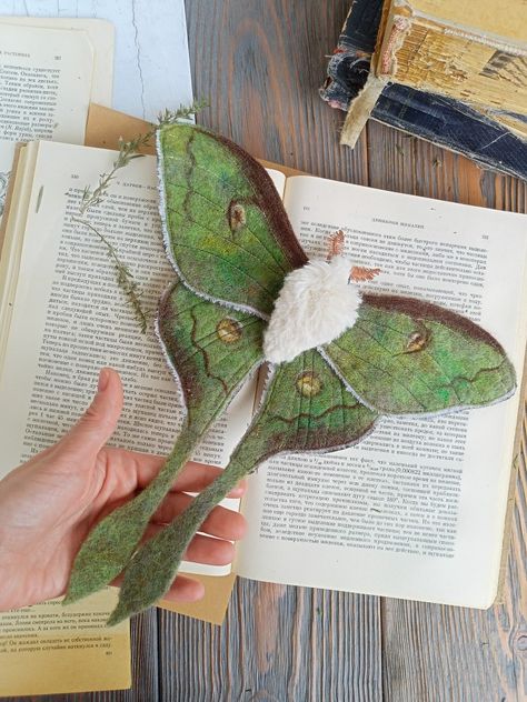 Hand Sewn Animals, Felt Luna Moth, Needle Felted Insects, Green Felt Crafts, Needle Felted Butterflies, Needle Felted Moth, Needle Felted Butterfly, Needle Felting Art, Felted Dragonfly