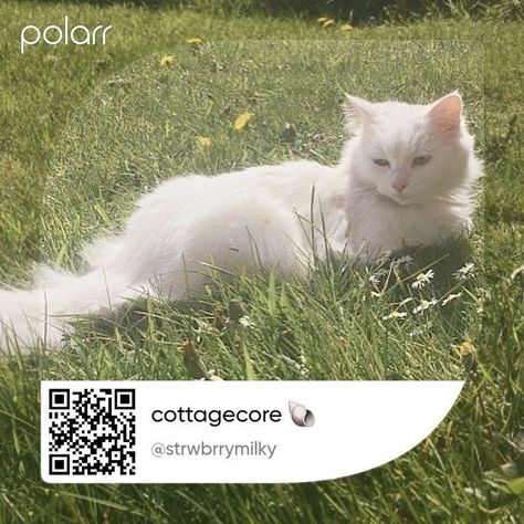 Qr Filter Polarr, Cottagecore Filter, Cottagecore Edit, Prequel Filters, Pastel Filter, Aesthetic Ig Filter Selfie, Polar Filters, Polar Filter, Pink Filter