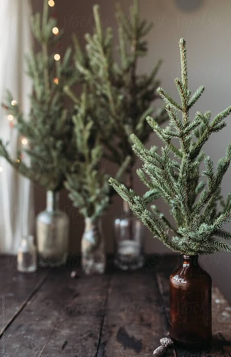 Natal Natural, Navidad Natural, Jul Diy, Decor Ideas For Living Room, Natural Christmas, Minimalist Christmas, Christmas Inspo, Boho Christmas, Ideas For Living Room