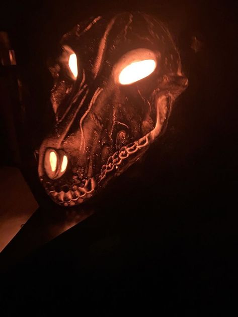 Creepy Mask Aesthetic, Canine Skull, Creepy Masks, Mask Aesthetic, Aesthetic Dog, Scary Animals, 2023 Halloween, Skull Mask, Cycle Of Life