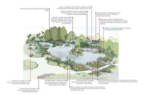 ARC Stormwater Management Guidelines | Boffa Miskell Stormwater Management Design, Icon Reference, Concept Diagrams, Landscape Architecture Graphics, Storm Water, Stormwater Management, Apollo Bay, Landform, Site Analysis