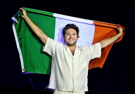 Niall Horan Irish Flag, Electric Picnic, Dutch Flag, One Direction Images, Direction Quotes, Ireland Flag, Hello Lover, One Direction Photos, Irish Funny