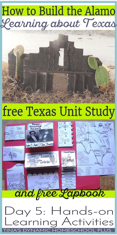 Alamo Project For School, Texas History 4th Grade, Alamo Activities, Texas History Projects, Alamo Project, Station Teaching, Texas History 7th, Texas History Classroom, Free Unit Study