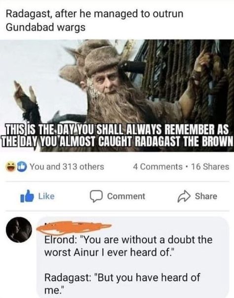 Radagast The Brown, Funny Lotr, Mount Doom, Lotr Funny, Into The West, Lord Of The Ring, The Shire, Jrr Tolkien, Legolas