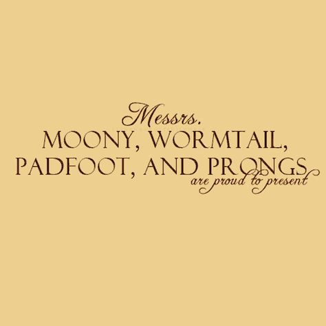 Marauders Map Moody GIF - MaraudersMap Moody Wormtail - Discover & Share GIFs Hogwarts Gif, Moony Wormtail Padfoot And Prongs, Padfoot And Prongs, Godric Gryffindor, Marauders Fan Art, Crimes Of Grindelwald, Marauders Map, Hogwarts Aesthetic, All The Young Dudes