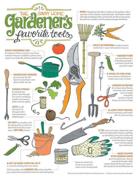 Gardner Tools Garden Infographic, Gardening Infographic, Cockle Shells, Idaho Springs, Backyard Gardening, Garden Illustration, Info Graphics, Garden Idea, Garden Tool Storage