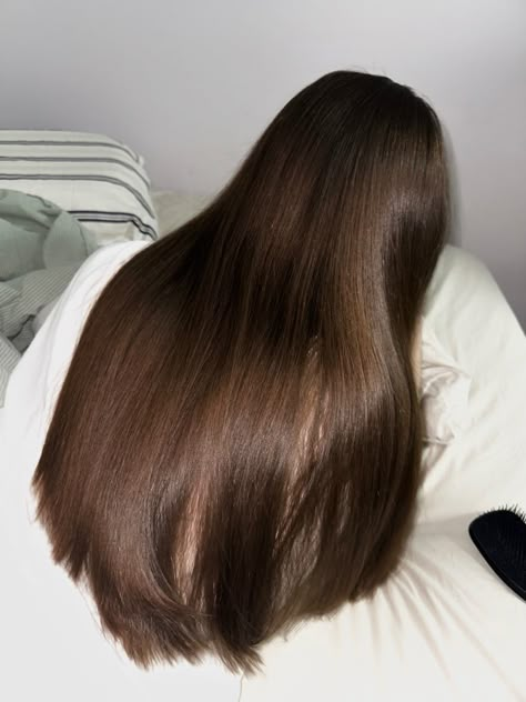 Brunette Hair Girl, Straight Brunette Hair, Brown Hair Inspo, Brunette Hair With Highlights, Long To Short Hair, Long Dark Hair, Dark Blonde Hair, Princess Hairstyles, Haircuts Straight Hair