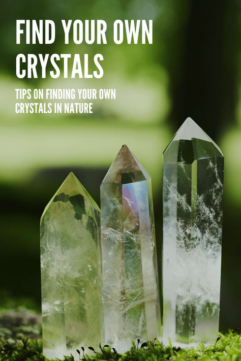 where to find crystals Where To Find Crystals, Identify Crystals, Crystals In Nature, Crystal Lattice, Selenite Wands, Crystal Structure, Amethyst Quartz Crystal, Sedimentary Rocks, Types Of Crystals