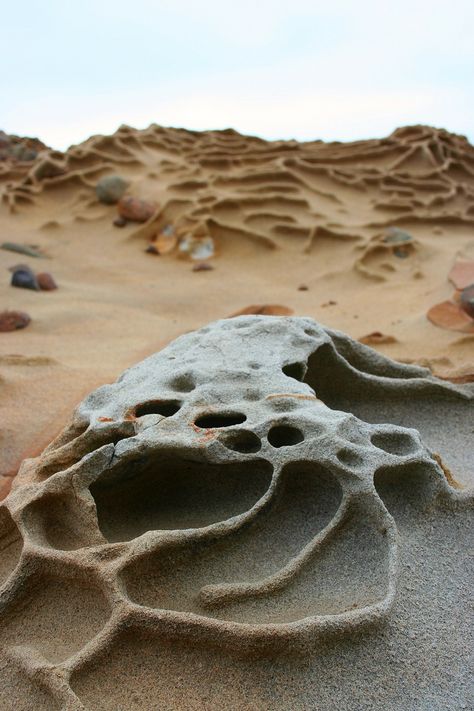 Erosion Art, Rock Textures, Sand Stone, Art Stone, Organic Art, New Cabinet, Natural Art, A Level Art, The Arrival