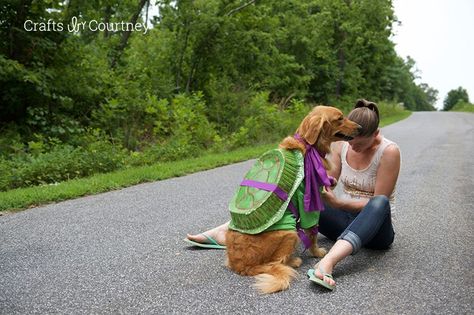 Fun Teenage Mutant Ninja Turtle Dog Costume Diy Dog Halloween Costumes, Halloween Costumes Homemade, Costumes Homemade, Minion Toy, Fun Halloween Crafts, Costume Works, Puffy Paint, Teenage Mutant Ninja Turtle, Dog Halloween Costumes