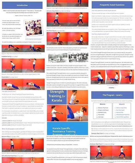 Do you practice Karate? This free guide teaches you how physical training can improve your Karate performance, strength and health. Functional Strength Training, Daily Countdown, Karate Classes, Workout Plan For Men, Strength Program, Bodybuilding Program, Physical Training, Strength Training Program, Endurance Training