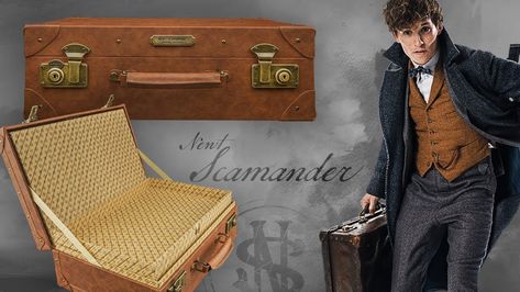 Newt Scamander Suitcase, The Crimes Of Grindelwald, Crimes Of Grindelwald, Newt Scamander, Behind The Scene, Newt, Fantastic Beasts, School Bag, Hermes Birkin