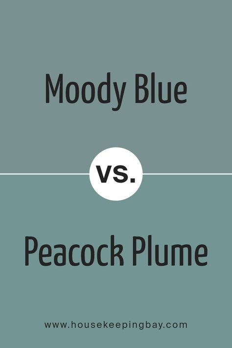 Moody Blue SW 6221 by Sherwin Williams vs Peacock Plume SW 0020 by Sherwin Williams Sw Peacock Plume, Peacock Plume Sherwin Williams, Peacock Blue Paint, Peacock Plume, Trim Colors, Sherwin Williams Colors, Moody Blues, Peacock Blue, Coordinating Colors