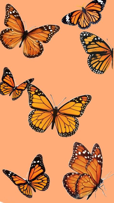 I did it with great care Wallpaper Butterfly, Orange Butterfly, Monarch Butterfly, I Hope You, I Hope, Orange, Disney