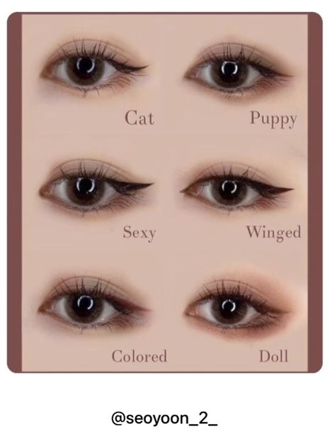 Cat Face Type Korean, Cat Eye For Round Eyes, Puppy Face Type Makeup, Cat Face Type Makeup, Dog Pretty Face Type Makeup, Eyeliner Placement, Different Type Of Eyes, Puppy Dog Eyeliner, Different Types Of Makeup Looks