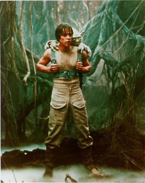 Mark Hamill on the Dagobah System set Luke Skywalker Dagobah, Star Wars Colors, Classic Star Wars, Star Wars Luke, Empire Strikes Back, Star Wars Tattoo, Star Wars Men, Star Wars Costumes, Mark Hamill