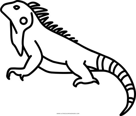 Dibujo De Iguana Para Colorear - Ultra Coloring Pages Iguana Drawing Cute, Iguana Drawing, Cartoon Iguana, Iguana Sketch, Iguana Embroidery, Iguana Coloring Page, Iguana Tattoo, Marine Iguana, Dibujo Simple