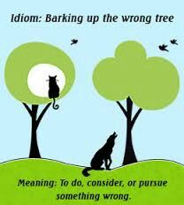 Barking Up The Wrong Tree. All About Me Eyfs Planning, All About Me Eyfs, Tree Meanings, Barking Up The Wrong Tree, Tree Quotes, Dig Deep, All About Me!, The Meaning, Meant To Be