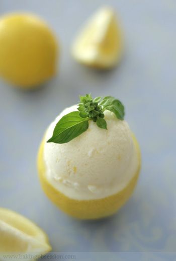 Lemon Basil Sherbet Lemon Sherbert, Dessert Aux Fruits, Lemon Basil, Ice Cream Popsicles, Ice Cream Desserts, Lemon Recipes, Milkshakes, Slushies, Homemade Ice Cream