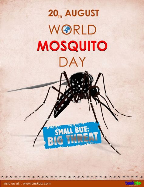 Wishing people good healthy and freedom from the deadly Mosquitoes on World Mosquito Day. #mosquitoes #mosquitoeday #mosquitocontrol #insects #mosquito World Mosquito Day Poster, Freedom Creative Ads, World Mosquito Day, Mosquito Control, General Ideas, Youtube Ads, Mosquito Repellent, Small Bites, Creative Ads