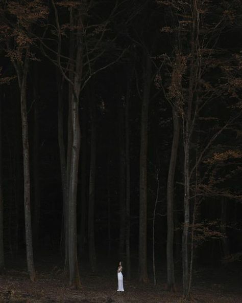 Creepy Woods, Dreamy Photography, Forest Girl, Night Forest, Forest Path, Southern Gothic, Halloween Photoshoot, Forest Photography, Girl Running