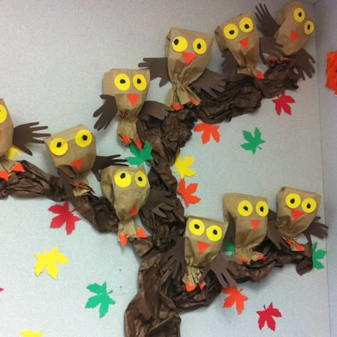 Owl craft ideas for kids Owl Classroom, Owl Tree, School Decor, Owl Theme, Owl Crafts, Kindergarten Art, Camping Theme, Classroom Crafts, Theme Halloween