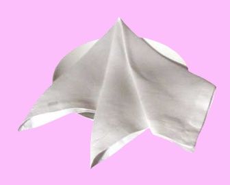 French fold napkin design