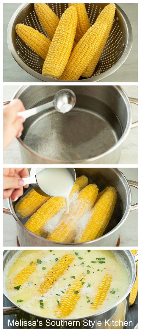 This simple recipe for How to Boil Corn on the Cob results in sweet perfectly cooked corn every time #cornonthecob #howtomakecorn #easycornonthecobrecipe #cornrecipes #boilingcorn Corn On The Cob Boiled In Milk, Boiled Corn On The Cob Recipes, Best Way To Boil Corn On The Cob, How To Cook Sweet Corn On The Cob, Boiled Corn On The Cob With Milk, Corn On Cob Boiled, Best Boiled Corn On The Cob, Sweet Corn On The Cob Boiled, How To Boil Corn On The Cob