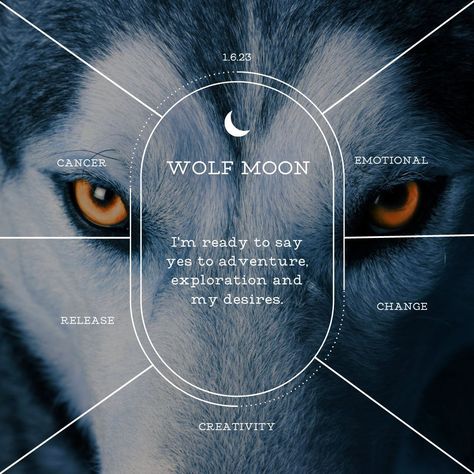 January of 2023 is best known as the Wolf Moon. Read all the details of this moon and how to best embrace it.I Snow Moon 2023, Moon 2023, Full Moon Spells, Moon Facts, Capricorn Season, Moon In Leo, Moon Spells, Angel Oracle Cards, Howling Wolf