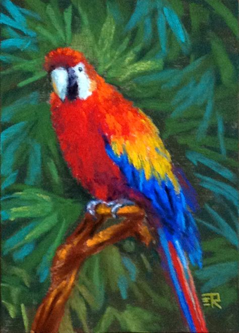 Macaw 7″X5″ Pastel on UART, Professionally Framed. Available at Tatiana Roulin Fine Art Studio/Gallery  © 2014 Parrot Oil Pastel, Oil Pastel Animal Drawings, Oil Pastel Artwork Ideas, Oil Pastel Bird, Oil Pastel Animals, Dry Pastel Art, Soft Pastel Art Ideas, Pastel Pencil Art, Macaw Painting