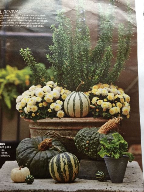 Fall Pots, Fall Container Gardens, Porch Flowers, Fall Containers, Halloween Facts, Fall Planters, About Halloween, Fall Arrangements, Fall Deco