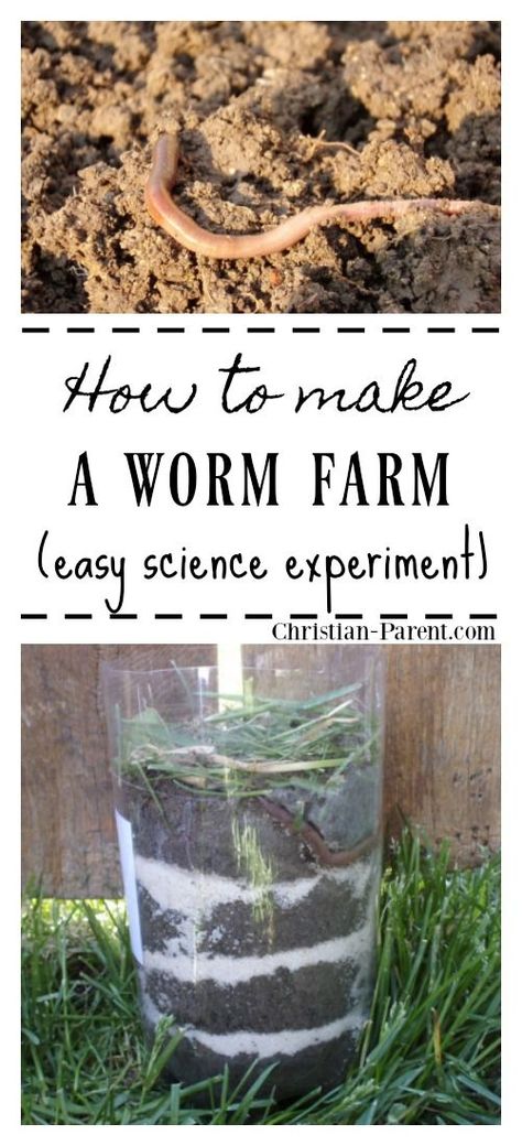 How to make a worm farm! This worm farm is a great DIY science activity for preschoolers and elementary students. This experiment can be done either in a classroom or at home. Science Activity For Preschoolers, Science Experiments Kids Elementary, Fall Science, Activity For Preschoolers, Preschool Science Activities, Science Experiments For Preschoolers, Nature School, Worm Farm, Science Activity