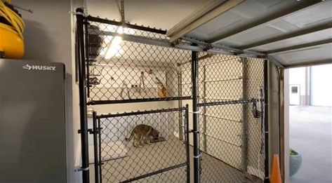 30 Garage Dog Kennel Ideas + DIY Solutions Garage For Dogs, Dog Kennel Alternatives, Dog Crates In Garage, Dog Kennels In Garage, Dog Area In Garage, Garage Dog Kennel Ideas, Garage Dog Kennel, Dog Room In Garage, Dog Kennel Inside