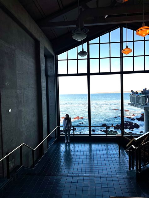 Monterrey Bay, Honeymoon Aesthetic, Birthday Dream, Aquarium Aesthetic, Places In California, Monterey Bay Aquarium, Monterey Bay, Visitor Center, Take Me Home