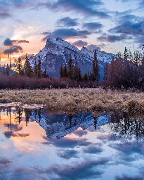 2,601 Me gusta, 110 comentarios - Carmen MacLeod (@swissclick_photography) en Instagram: "Beautiful sunrise at Vermillion lake (which is now completely frozen 🥶) #banff #banffnationalpark…" Banff Alberta Canada, Vermillion Lakes, Banff Alberta, Most Popular Memes, Beautiful Sunrise, Banff National Park, Alberta Canada, Beautiful Mountains, Nature Images