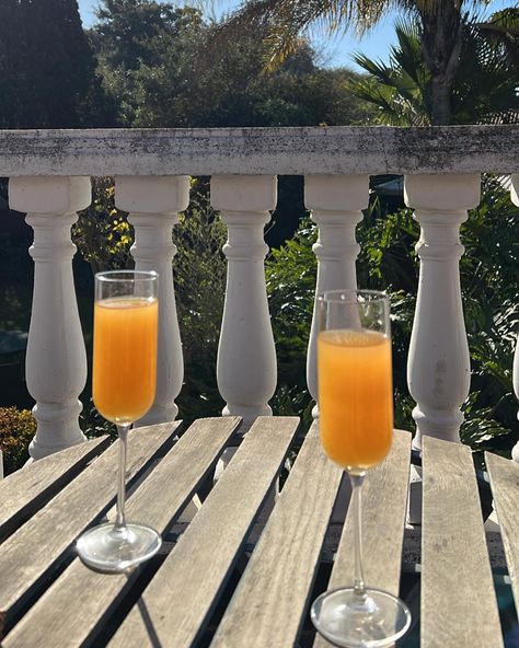 Mimosas baby! - orange juice - champagne of your choice - fill up glass with champagne - dash with a little bit of juice Homemade Mimosa, Mimosa Aesthetic, Baby Orange, Hello September, Orange Juice, Mimosa, Wine Glasses, Rose Wine, Wine Glass