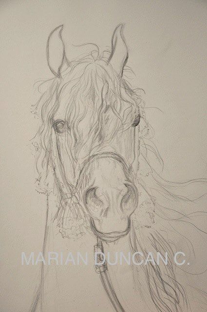 Drawing Ideas Horse Sketch, Realistic Horse Sketch, Horse Sketch Easy, Horse Sketch Pencil, How To Draw A Horse, Horse Drawing Reference, People As Cartoons, Horse Sketch Art, Draw Horse